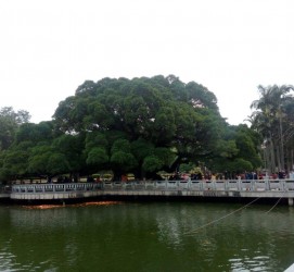 百色福州旅游攻略(福州旅游攻略二日游)