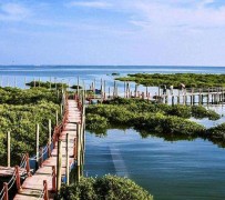 百色旅游哪里好玩(云南旅游哪里好玩)