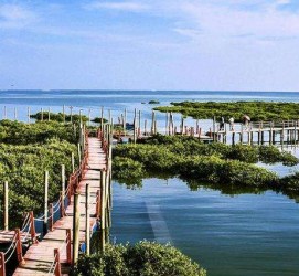 百色旅游哪里好玩(云南旅游哪里好玩)