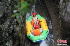 百色伴游中国三亚(三亚结伴旅游网)