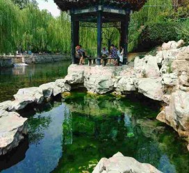 百色济南旅游攻略(青岛威海济南旅游攻略)