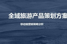百色旅游方案(旅游方案策划书模板)