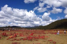 百色旅游去处(暑期最好的旅游去处)