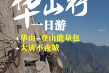 百色一日游(一日游需要准备些什么东西?)