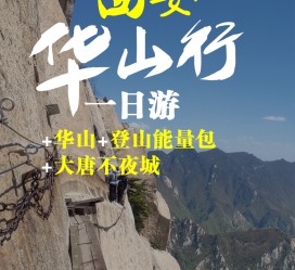 百色一日游(一日游需要准备些什么东西?)
