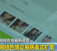 百色上海伴游 伴游女郎白天陪玩晚上陪睡 网络跑火日薪过万(图)