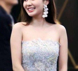 百色cnbanycom伴游中国明星的简单介绍