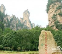 百色自驾旅游攻略(自驾旅游攻略app排行榜)