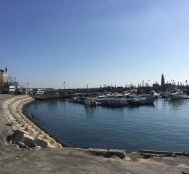 百色大连旅游攻略(大连旅游攻略自由行)