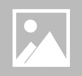 百色辽宁伴游雇用信息(辽宁伴游雇用信息最新)