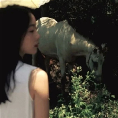 百色私家伴游让你拥有一次完美的旅游体验